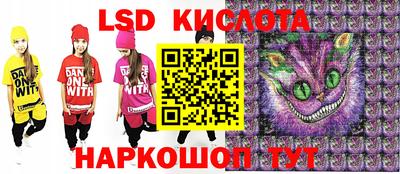 шишки Заволжье