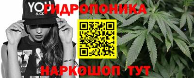индика Жуковский