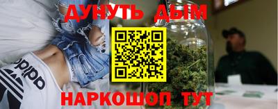 шишки Заволжье