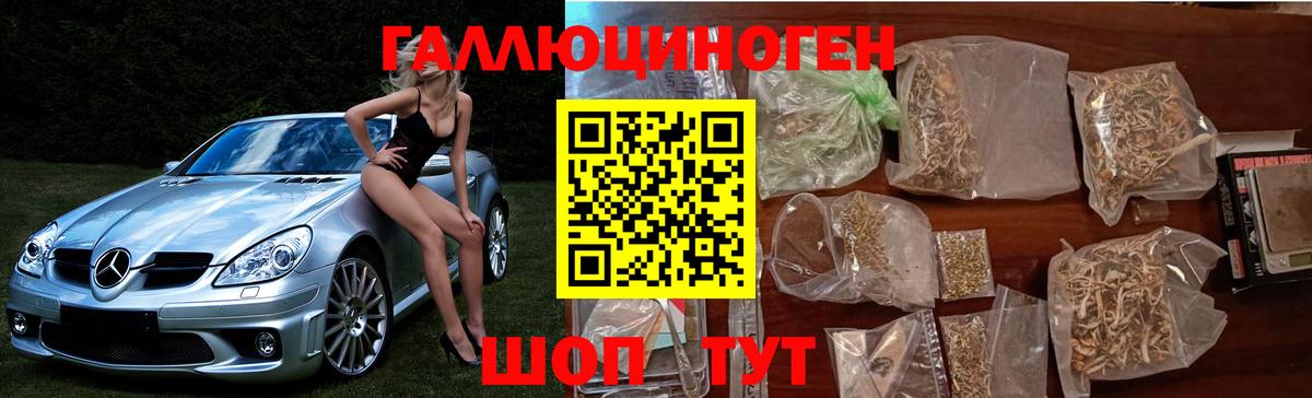 Псилоцибиновые грибы Psilocybe  Вход с VPN  Малгобек 